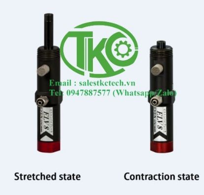 Picture of Piston Vibrator EXEN ELV8 