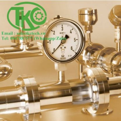 Picture of Đồng hồ áp suất kết nối màng vô trùng Wika 981.51