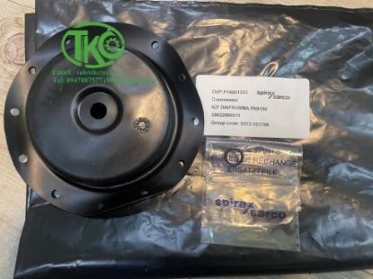 Picture of Màng van điều khiển Spirax Sarco PN91XX Series