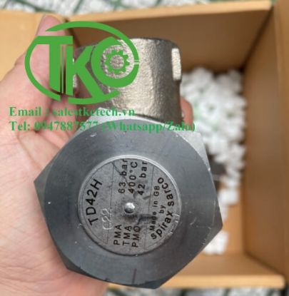 Picture of Bẫy hơi TD42H Spirax Sarco TD42L