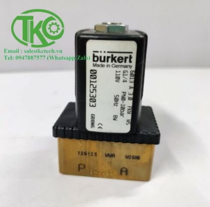 Picture of Van solenoid Burkert Type 6013 code 00125303