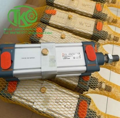 Picture of Xi lanh 1124250075CP Metalwork 124C800125AN