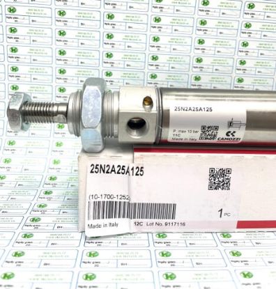 Picture of Xi lanh Camozzi 25N2A25A125
