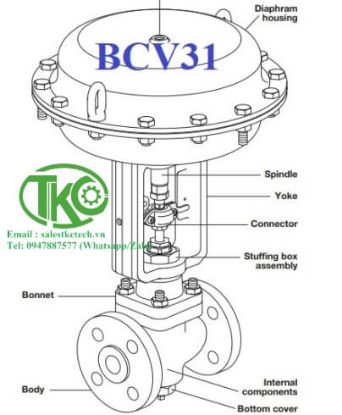 Picture of Blowdown Control van Spirax Sarco BCV31