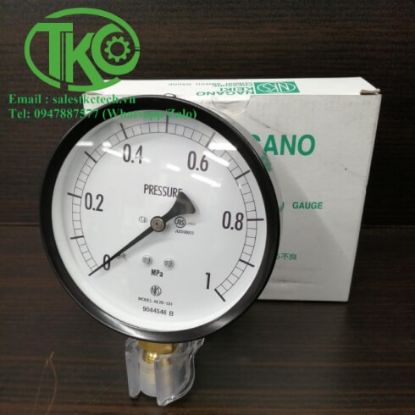 Picture of Đồng hồ áp suất NAGANO KEIKI AE20-131-1MPa