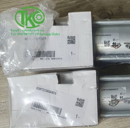 Picture of Xi lanh Camozzi 63MT2C050A0075