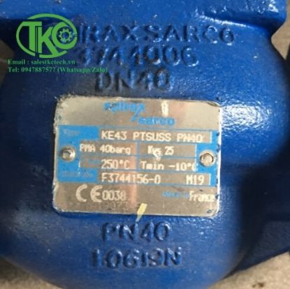 Picture of Van Spirax Sarco KE43 PTSUSS.2 