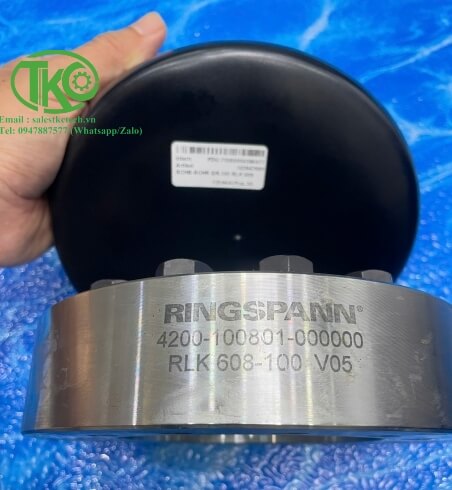 Khớp nối Ringspann RLK 608-100 V05 (FDU70000004084977) 4200-100801 ...