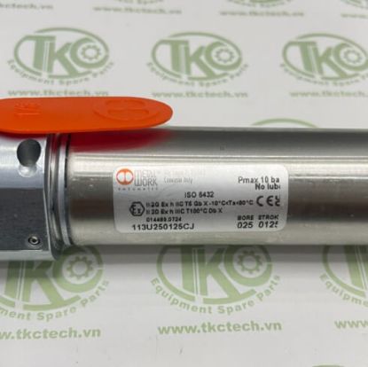 Picture of Xi lanh 113U25A015CJ-113U250050CJ Metalwork 113U250100CJ