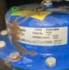 Picture of Pneumatic Actuator PN9120R, PN9120E Spirax Sarco PN9123E, PN9126E 