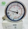 Picture of Đồng hồ áp suất Wika 232.50 EN 837-1